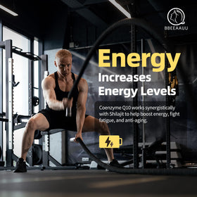 Ingrédients naturels des capsules de Shilajit BBEEAAUU