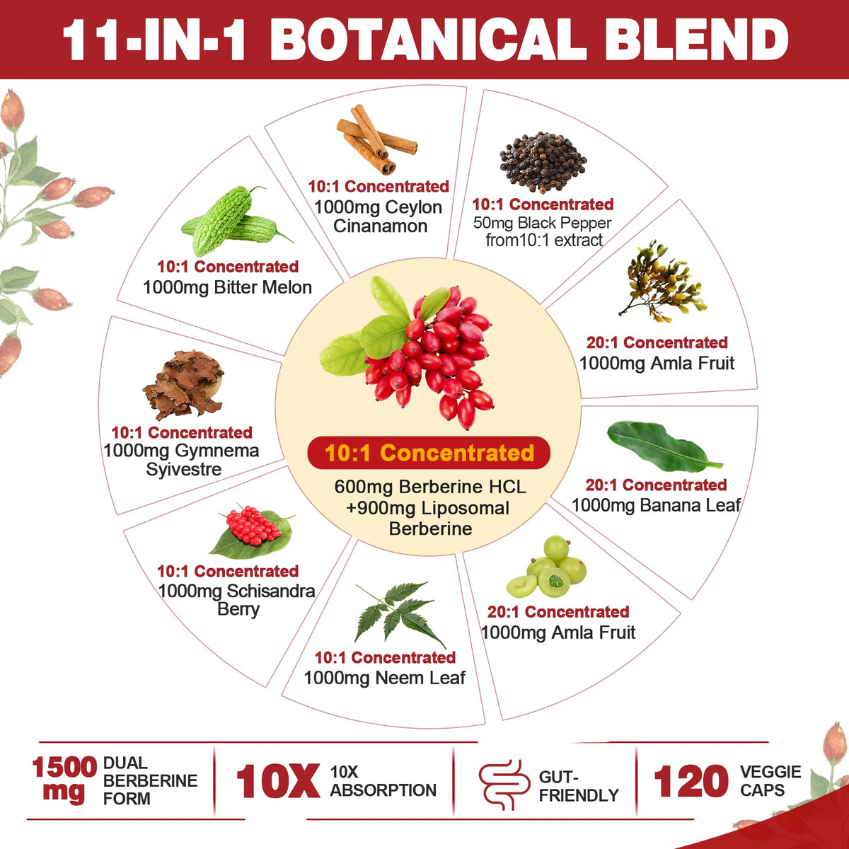 Ingrédients naturels des capsules Nextdia Berbérine