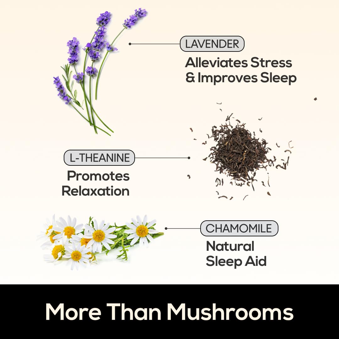 Ingrédients naturels des gummies TrueMushroom, mélange de champignons