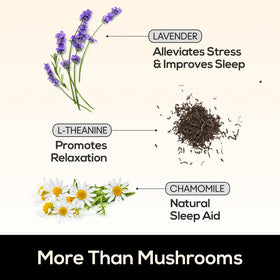 Ingrédients naturels des gummies TrueMushroom, mélange de champignons