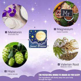Ingrédients naturels des patches de sommeil H.pylori, racine de valériane et mélatonine