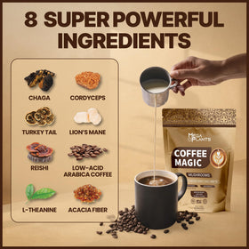 Ingrédients naturels du Café aux Champignons Magiques