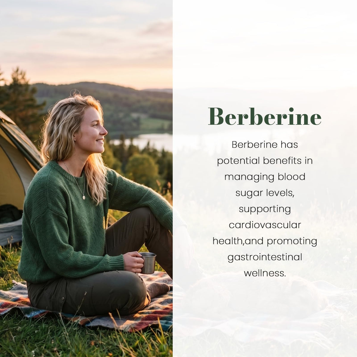 Ingrédients naturels du complément alimentaire Berbérine AskTaTa