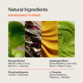 Ingrédients naturels du complément Cortisol Calming de VERACITY SELFCARE