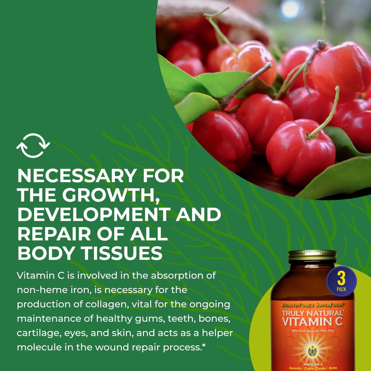 Ingrédients naturels du complément Vitamine C HEALTHFORCE SUPERFOODS