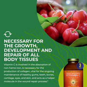 Ingrédients naturels du complément Vitamine C HEALTHFORCE SUPERFOODS