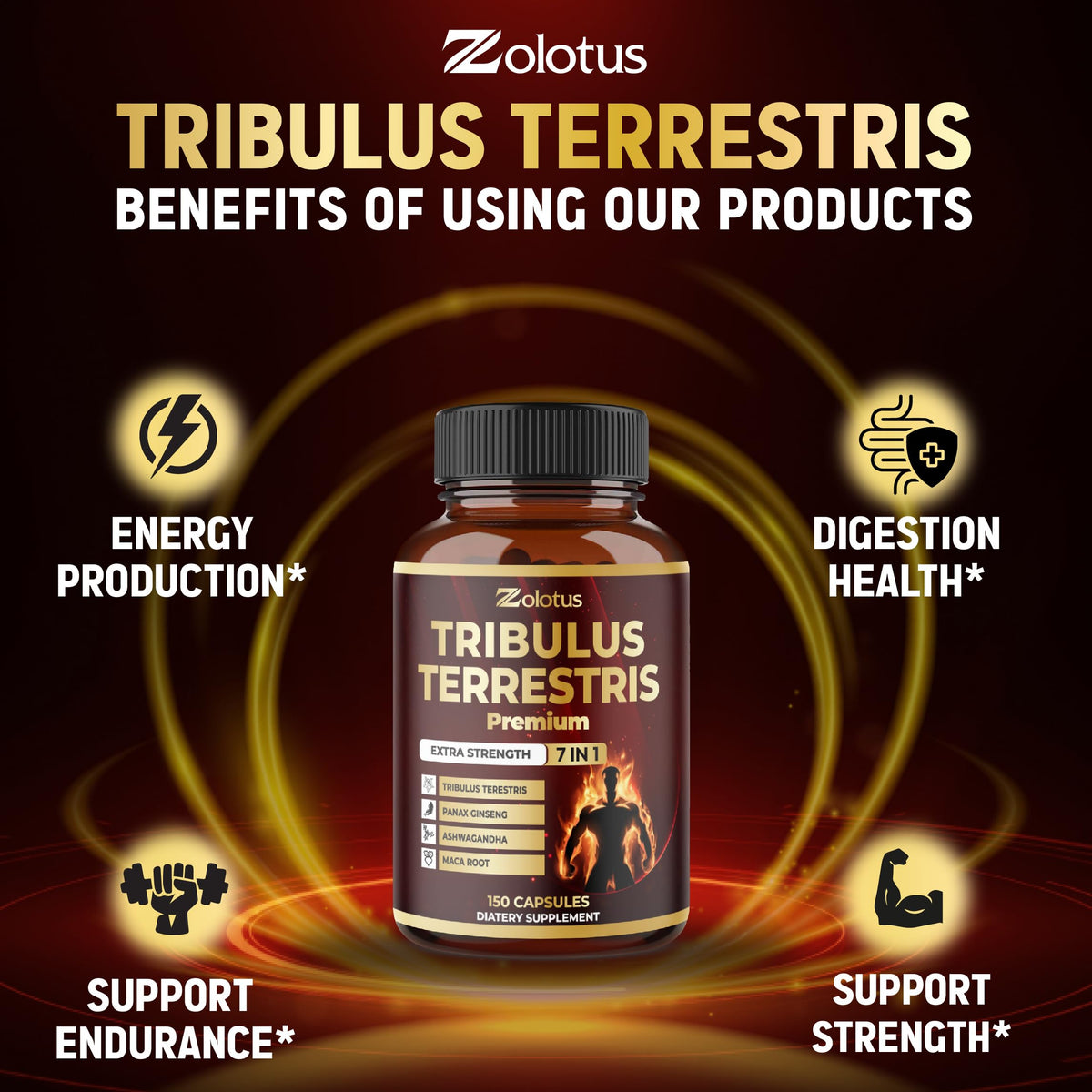 Ingrédients naturels du complément Zolotus Tribulus Terrestris