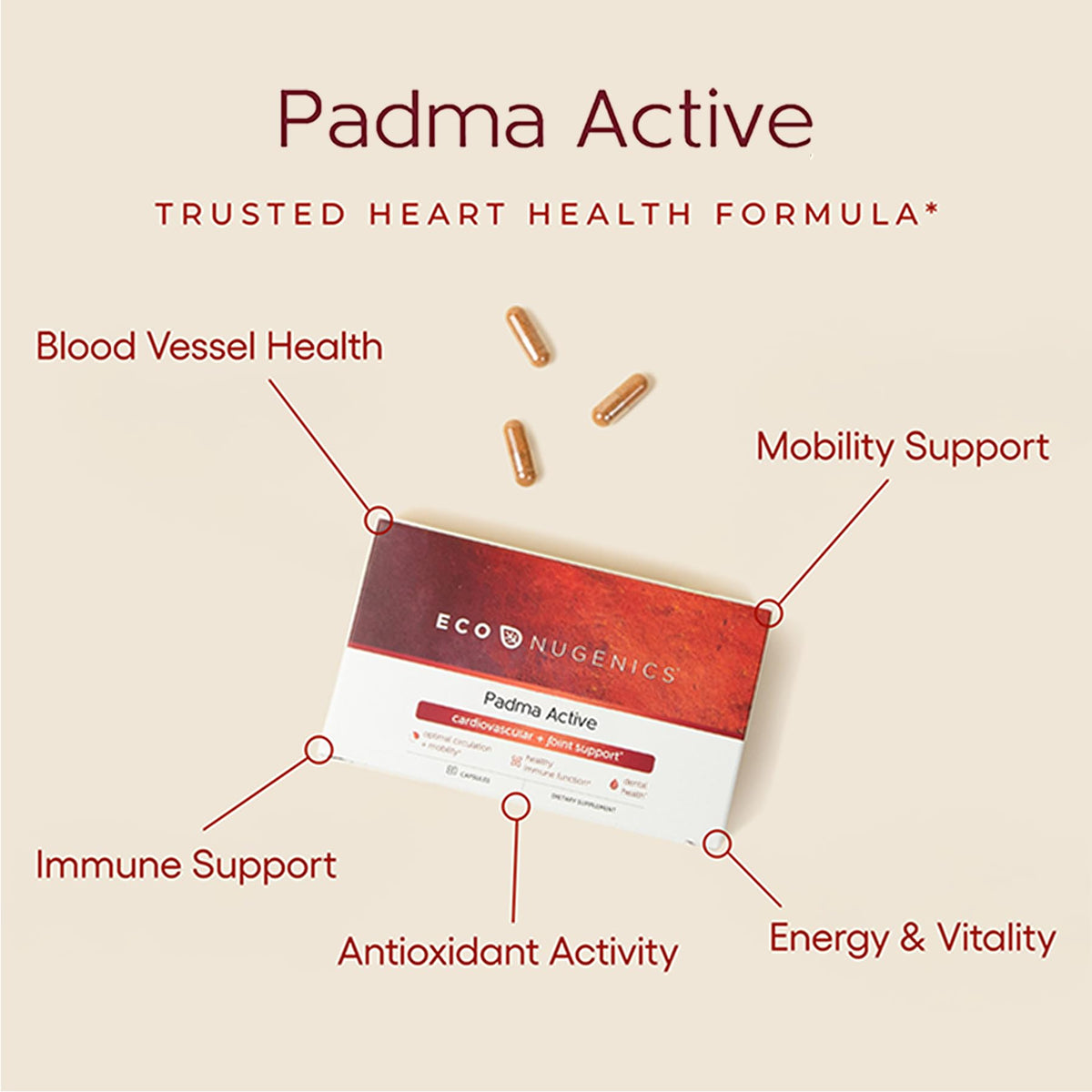 Ingrédients naturels du EcoNugenics Padma Active sur fond blanc