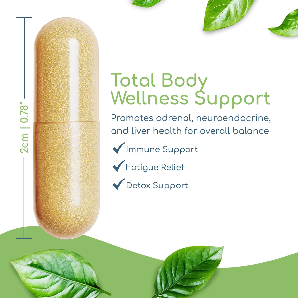 Ingrédients naturels du Return Healthy Foundation Formula
