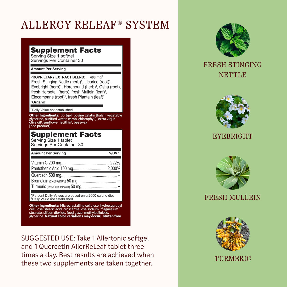 Ingrédients naturels du Système Allergy ReLeaf de Herbs Etc.