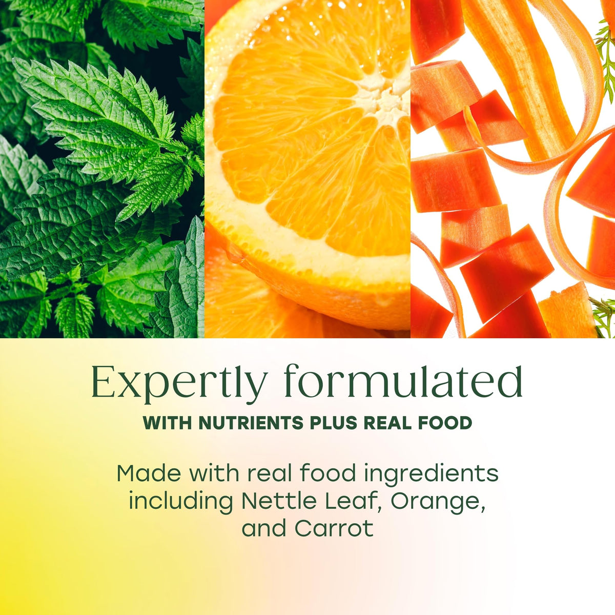 Ingrédients naturels utilisés dans MegaFood Complément Peau, Cheveux & Ongles