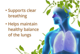 Ingredients of Dragon Herbs Perilla Clear Capsules