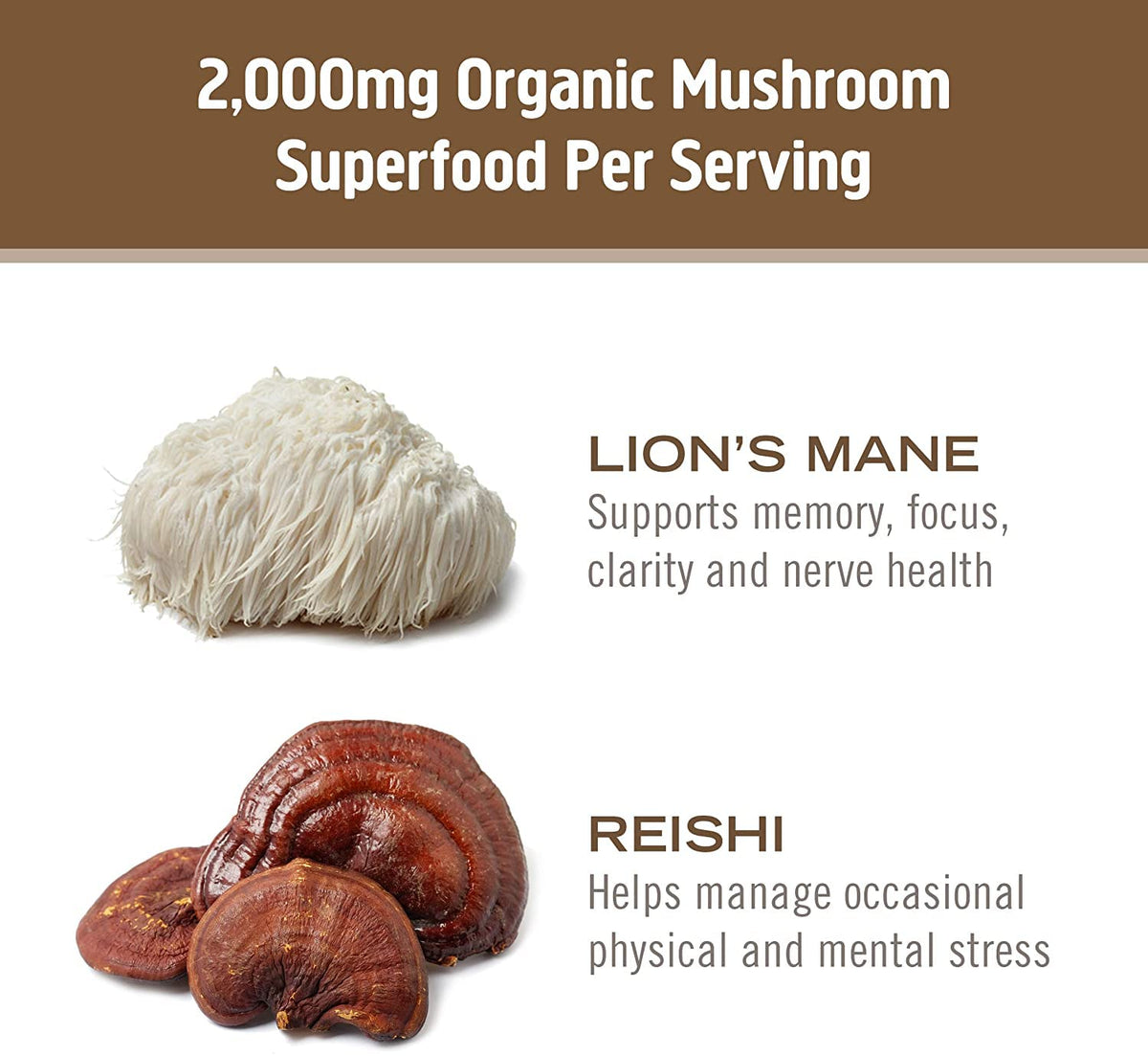 Ingrédients OM MUSHROOM SUPERFOOD sur l'emballage