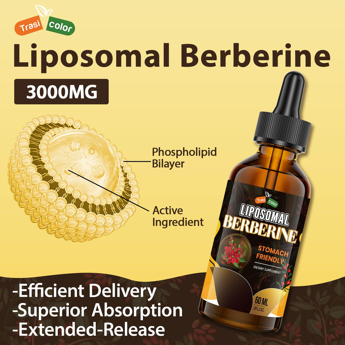 Ingrédients Trasicolor berbérine complexe 12 en 1