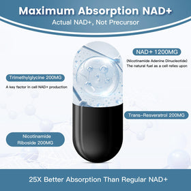 inGreens Complément Alimentaire Liposomal NAD+ 1800 mg gélules avec ingrédients