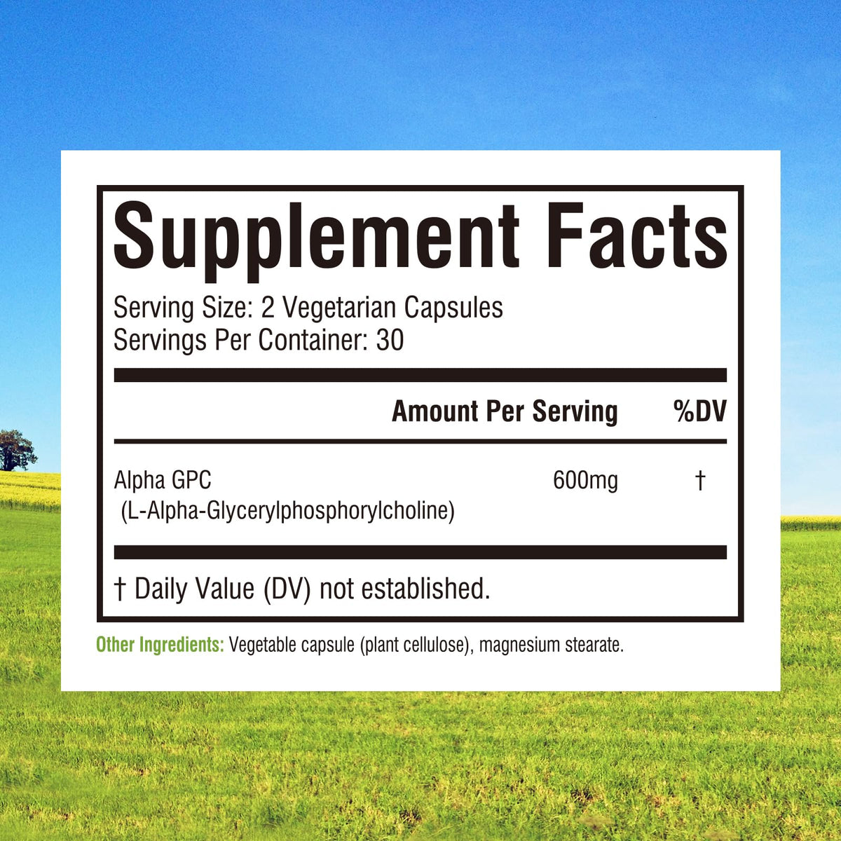Innate Vitality Alpha GPC 600mg emballage et étiquette