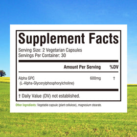 Innate Vitality Alpha GPC 600mg emballage et étiquette