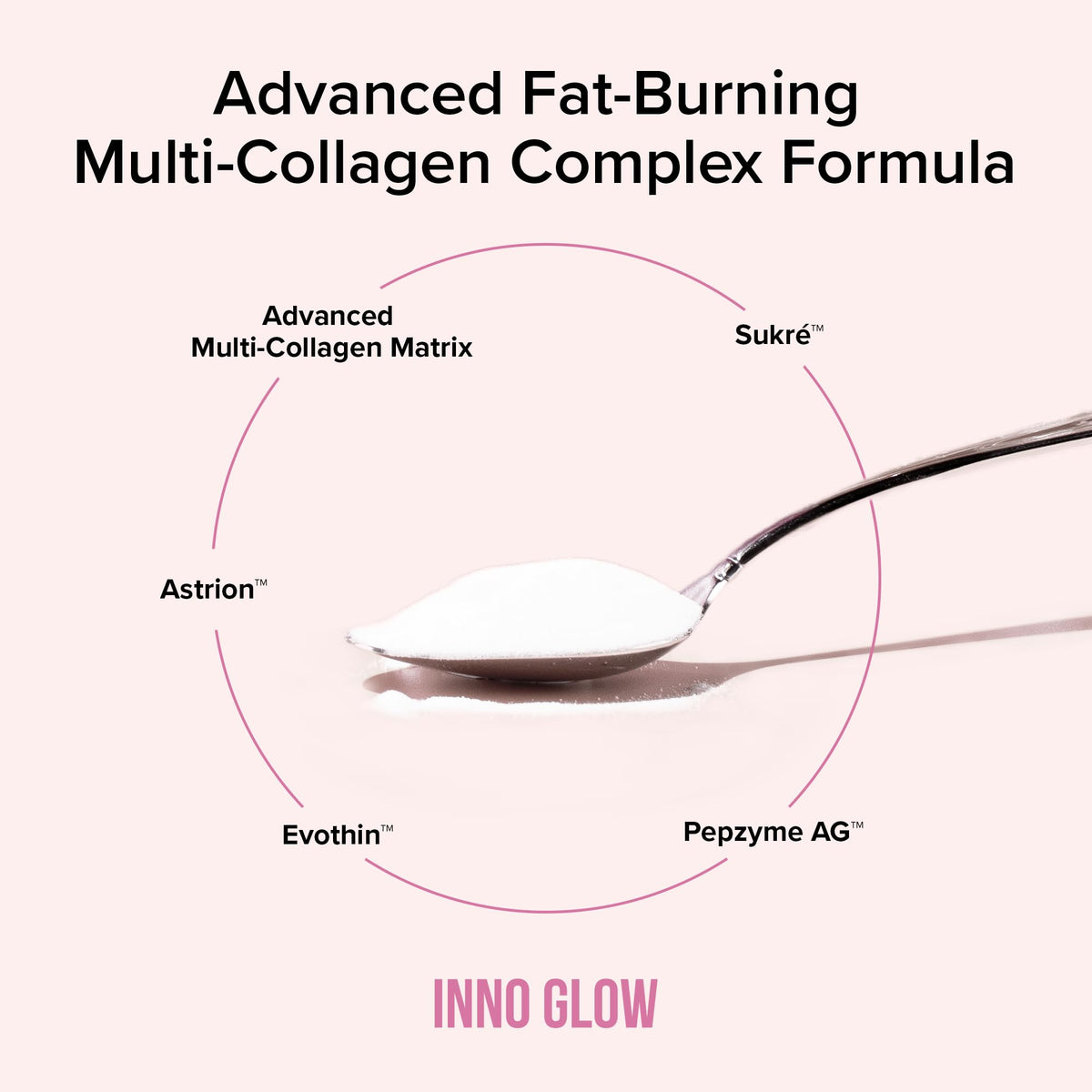 InnoSupps Poudre de Collagène Multi-Collagène 340g vue de dos