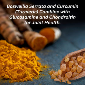 INVIGOFLEX Glucosamine et Chondroïtine AM/PM en mode de vie actif