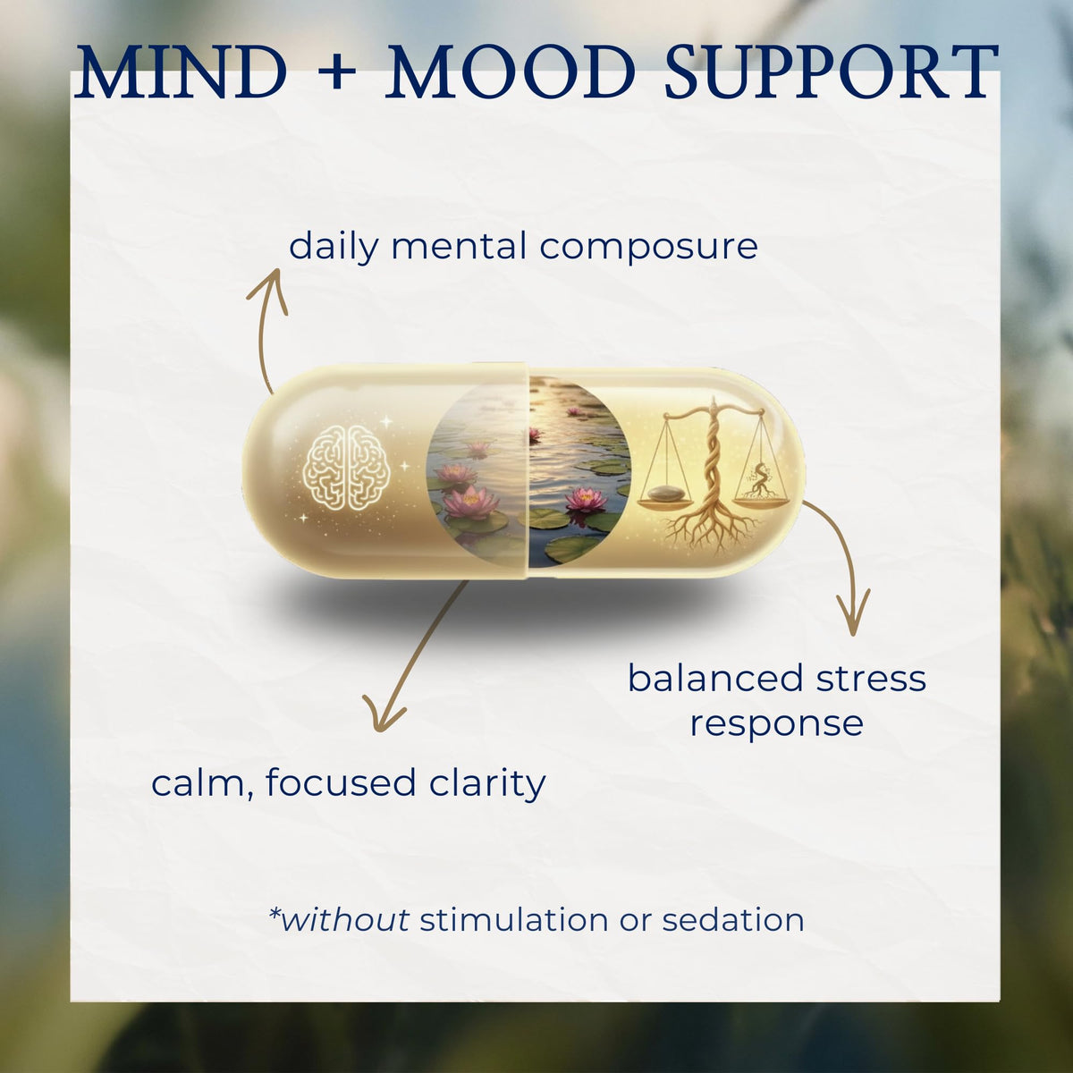 inwardly Complément Alimentaire Magnésium Bisglycinate 500mg capsules végétaliennes
