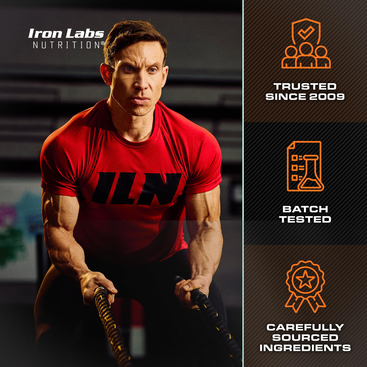 Iron Labs Nutrition ZM6 Complément Zinc et Magnésium 360 Capsules avec gouttes de zinc