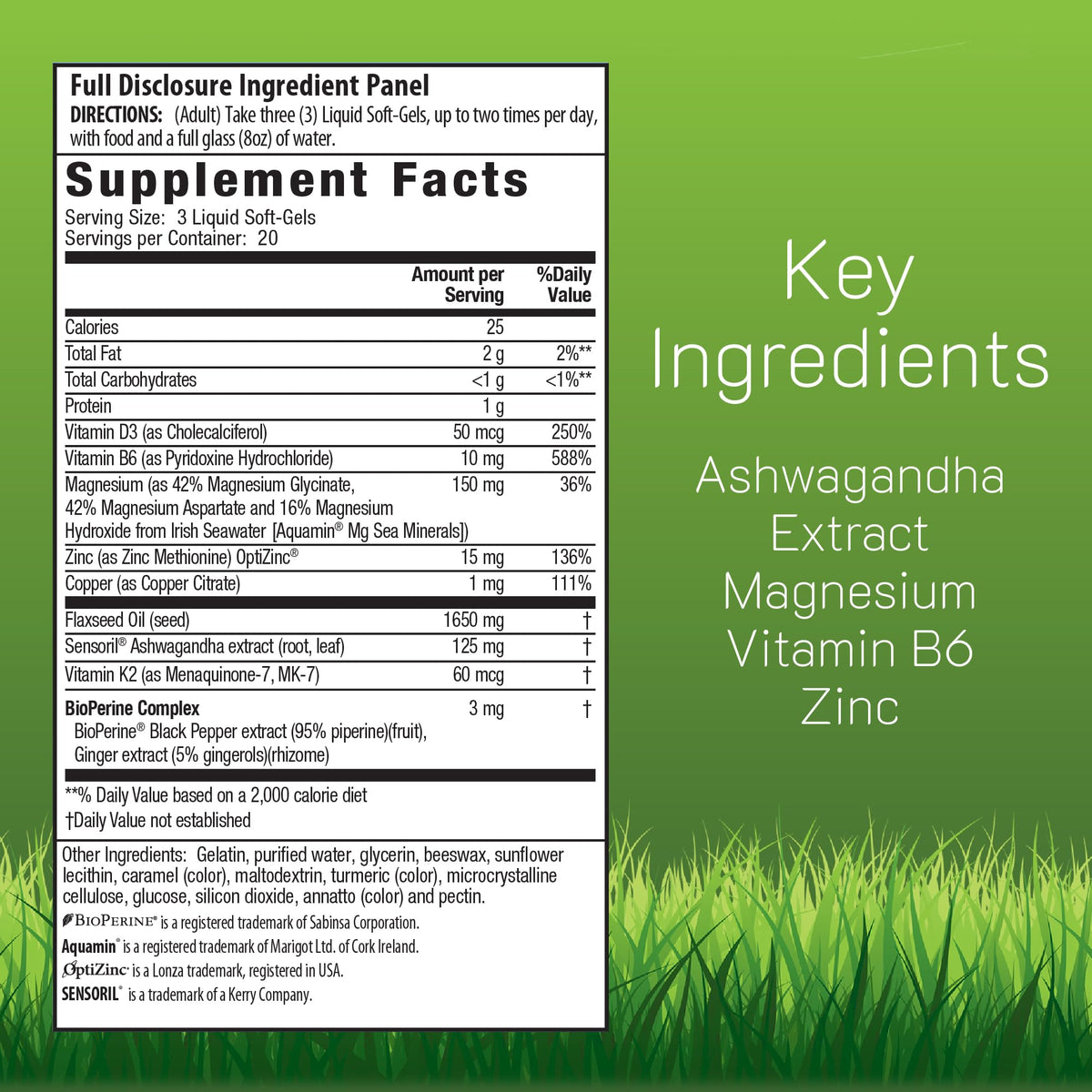 Irwin Naturals Complément Alimentaire Magnésium + Ashwagandha 281g - vue arrière