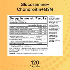 Jarrow Formulas Glucosamine Chondroitin MSM capsules close-up