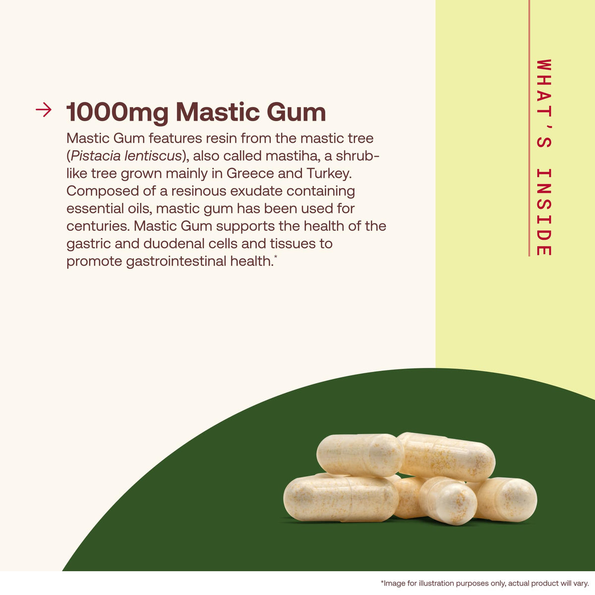 Jarrow Formulas Mastic Gum 1000 mg 120 capsules végétales, étiquette détaillée