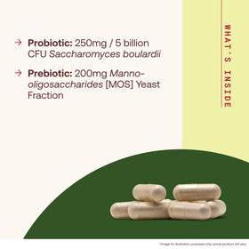 Jarrow Formulas Saccharomyces Boulardii + MOS 90 capsules végétales côté