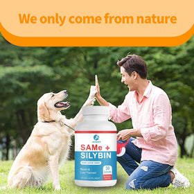 Jataoce Same et Silybin pour Chiens 32g détails de la formulation