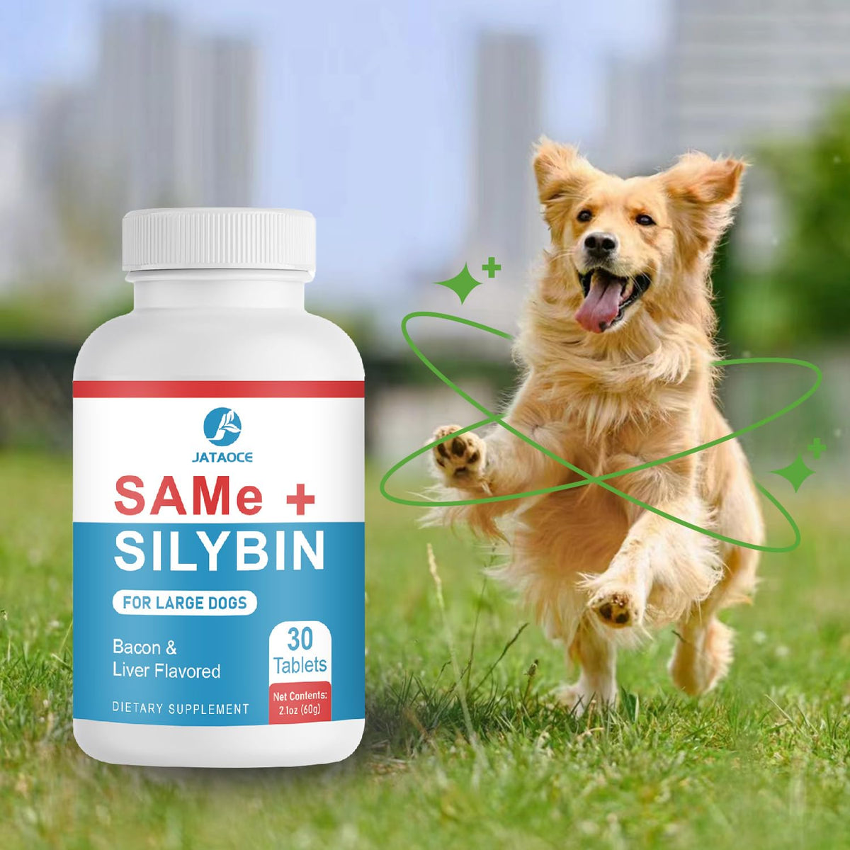 Jataoce Same et Silybin pour Chiens 32g mise en situation avec un chien