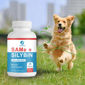 Jataoce Same et Silybin pour Chiens 32g mise en situation avec un chien