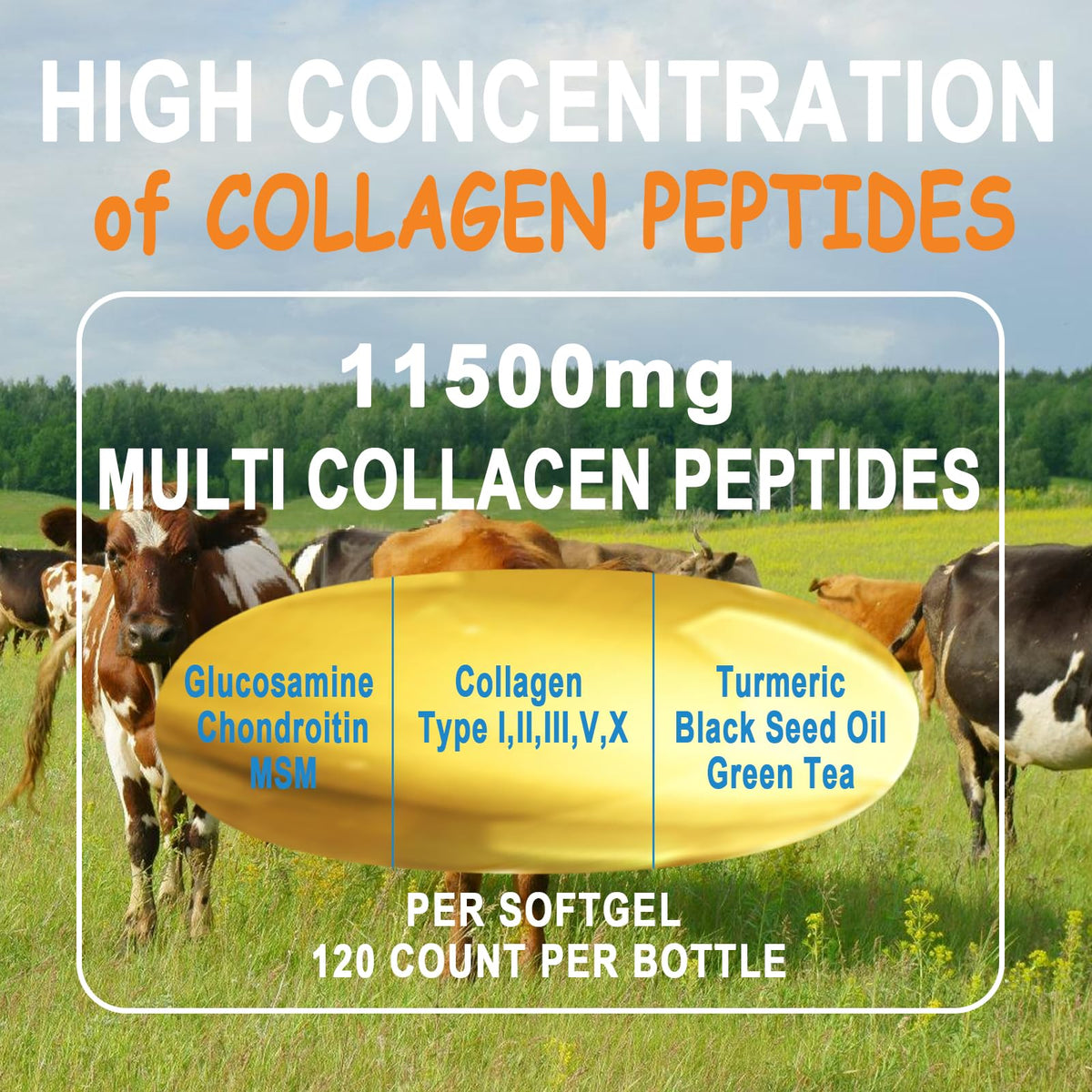 JINGYAT Collagène Peptides Softgels 109g, vue de côté