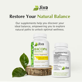 Jiva Botanicals Bacopa Monnieri 1000mg en utilisation quotidienne
