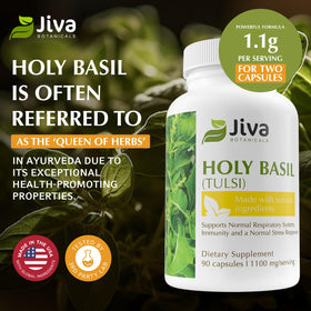 Jiva Botanicals Capsules Basilic Sacré 1100mg - gros plan des capsules