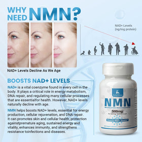 JulyDeer NMN 500mg avec verre d'eau pour consommation