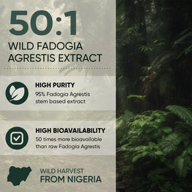 Jungle Powders Fadogia Agrestis Extrait 50:1 sur une table