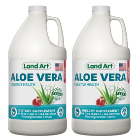 Jus d'Aloe Vera Grenade Land Art 2L vue de face
