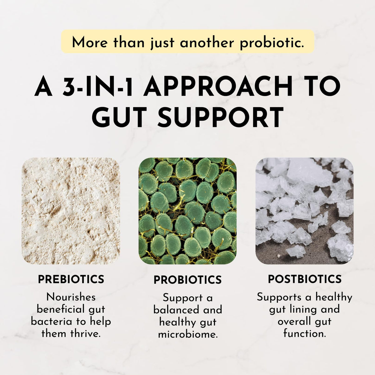 JUST INGREDIENTS Probiotique Citron Gingembre sachets sur une table
