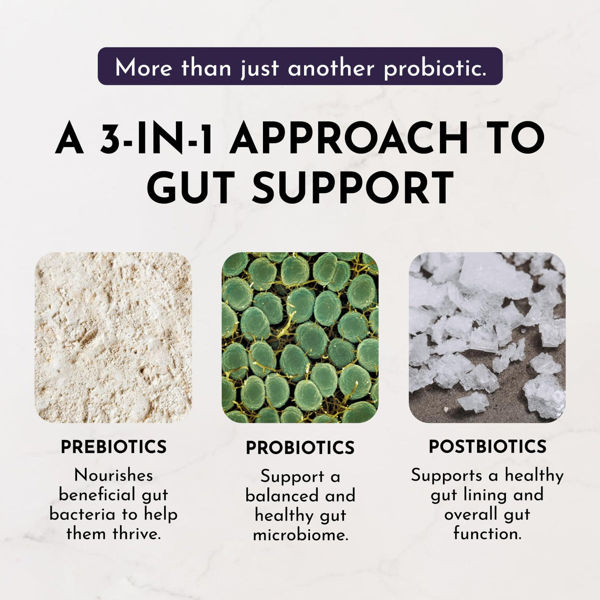 JUST INGREDIENTS Probiotique Citronnade Sureau en verre d'eau
