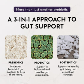 JUST INGREDIENTS Probiotique Citronnade Sureau en verre d'eau