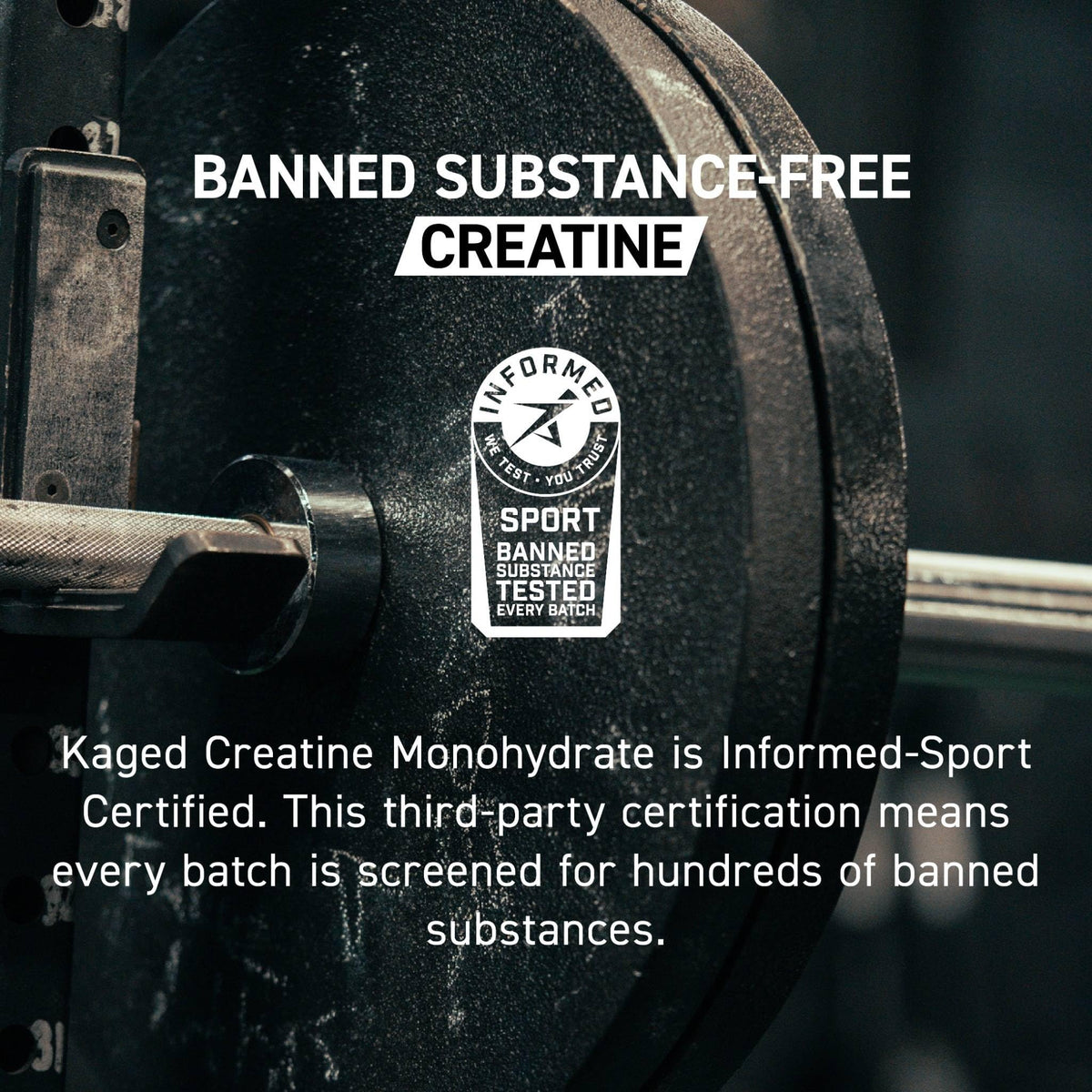 Kaged Creatine Monohydrate Elite 381g packaging