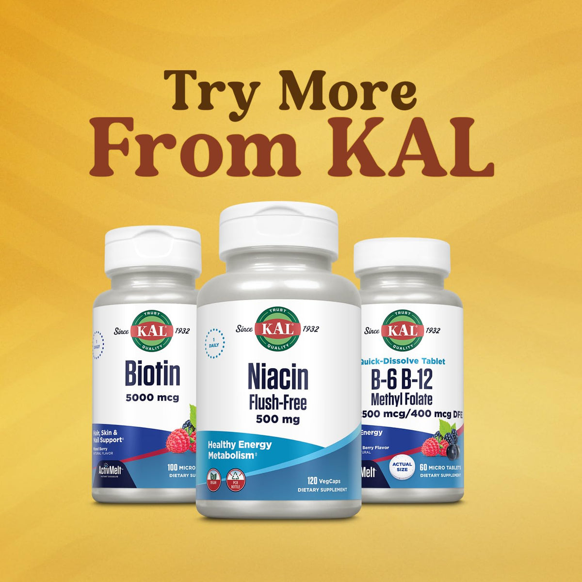 KAL ActivMelt B6 B12 Folate en situation de prise quotidienne