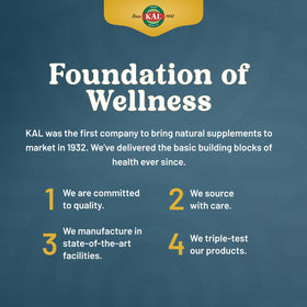 KAL B12 Methylcobalamine 2000 mcg avec fruits mélangés