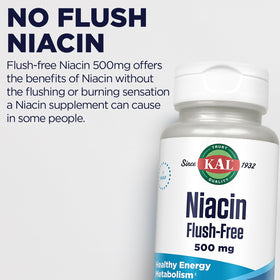 KAL Niacine 500mg étiquetage des ingrédients