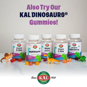 KAL Zinc Sureau Dinosaure Détails de l'emballage