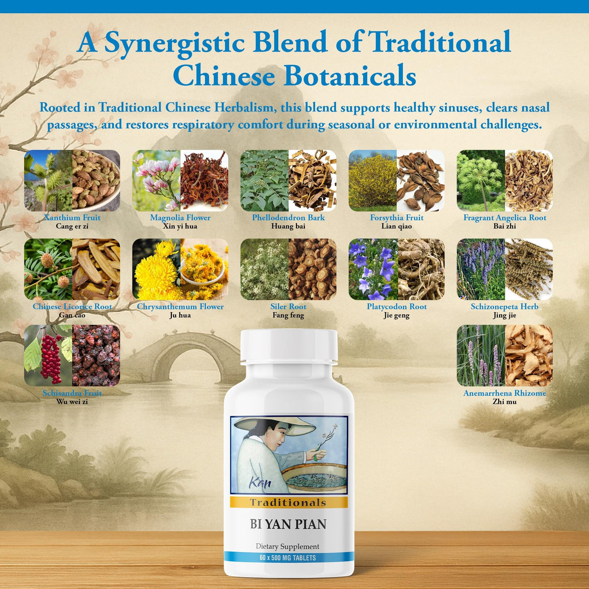 Kan Herbs Bi Yan Pian 60 tablettes côté droit