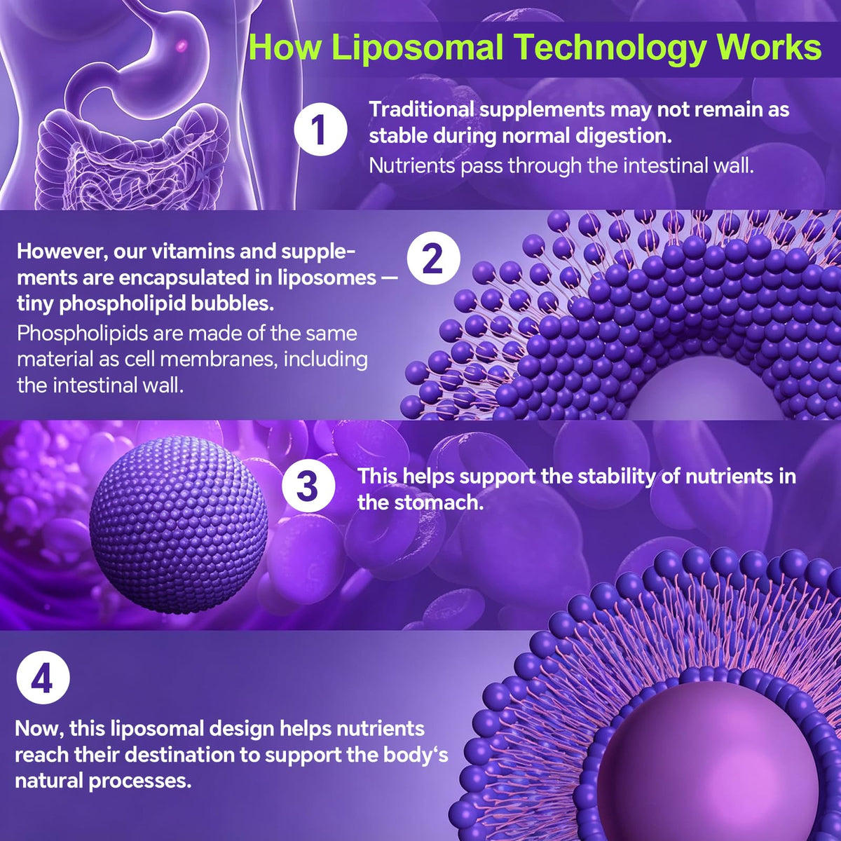 KangRiXin Liposomal Glutathione 1200mg capsules en utilisation
