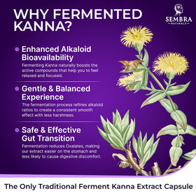 KANNAFOCUS SEMBRA NATURALS, capsules ouvertes pour montrer le contenu