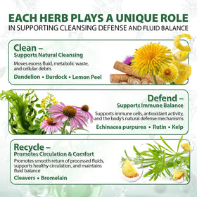 Kaseano Complément Alimentaire Drainage Lymphatique 60 Capsules avec ingrédients botaniques